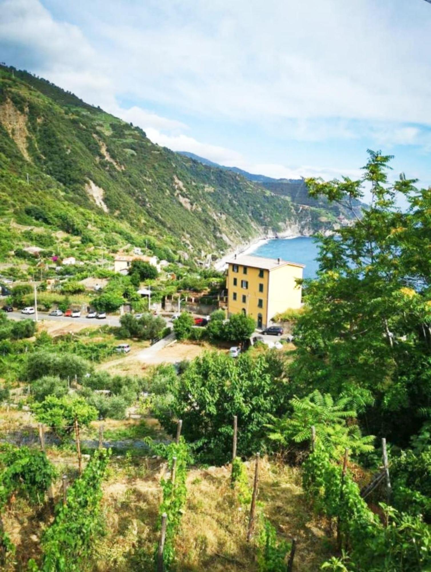 New Hanging Garden Corniglia Extérieur photo